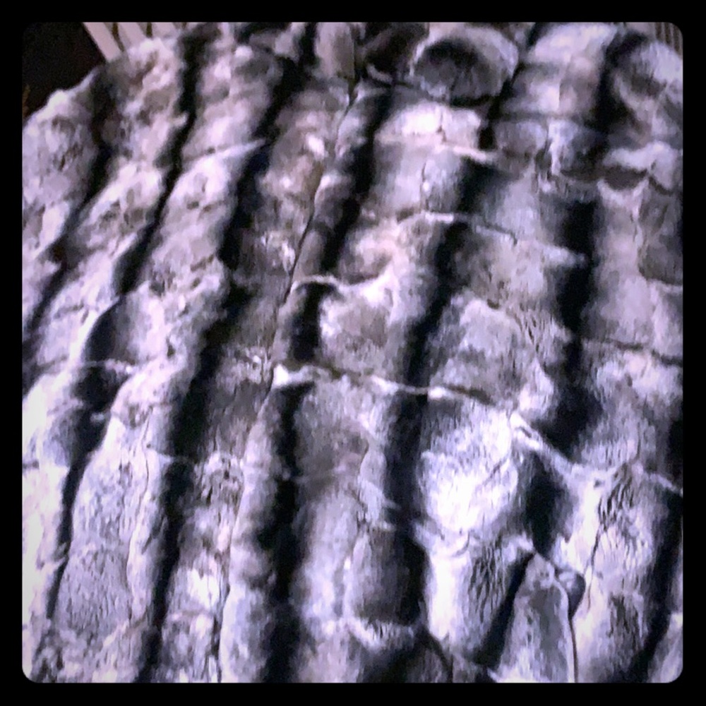 Mention 100% Authentic chinchilla bomber fur